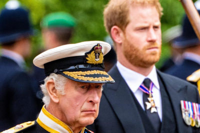 Возвращение «блудного сына»: принц Гарри поделился впечатлениями от встречи с королем Карлом